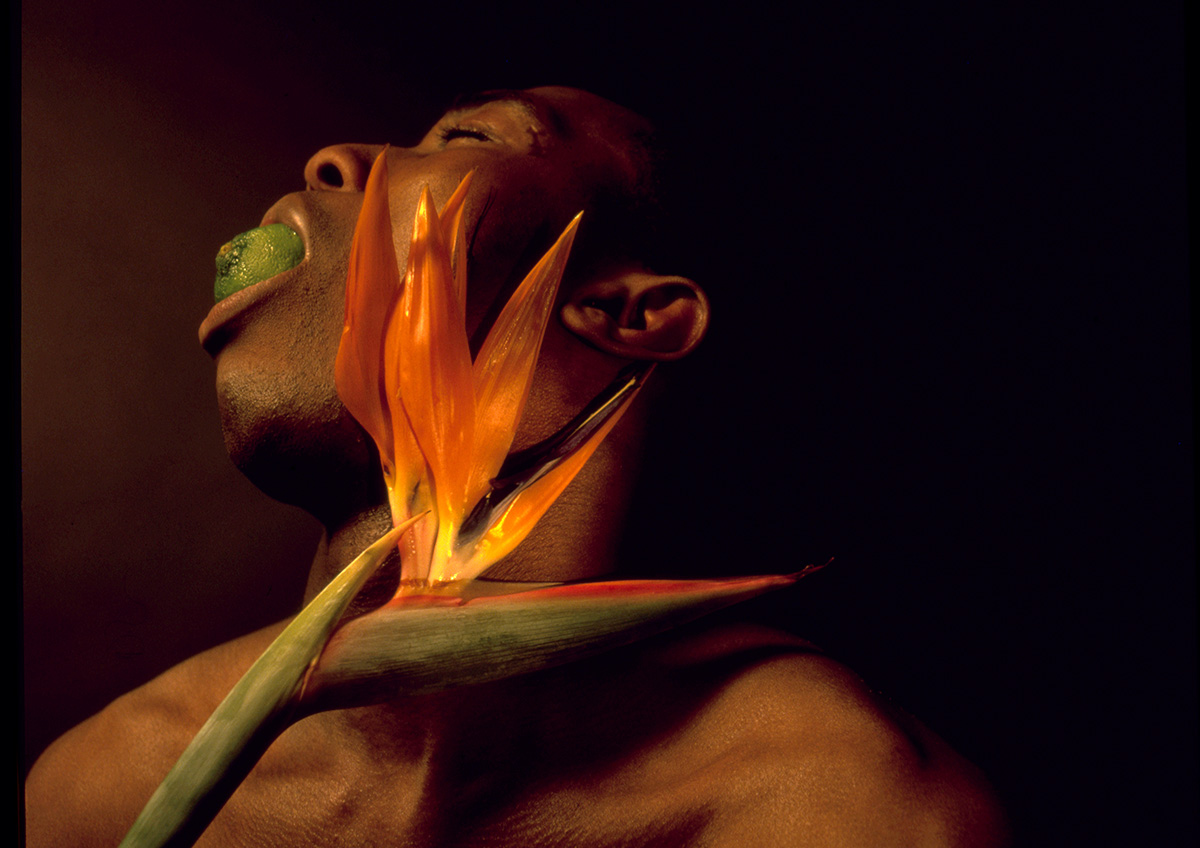 Nothing To Lose II . Bodies Of Experience . 1989 . Rotimi Fani-Kayode .  Esprit Revue Noire Une Collection Fondatrice .  2022 . Courtesy de Revue Noire